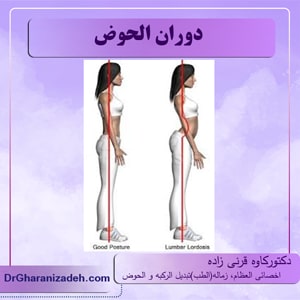 دوران الحوض